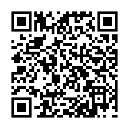 QR code for 381QX