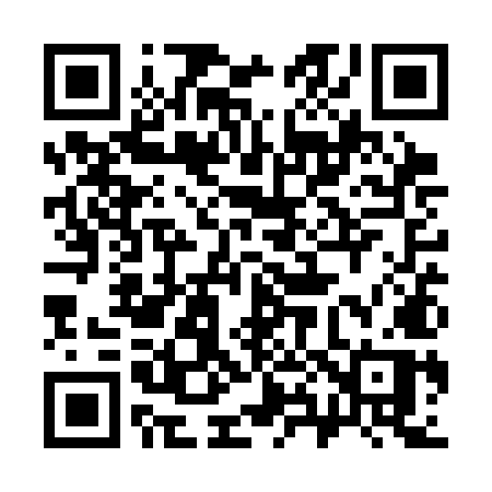 QR code for 381SMP