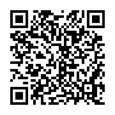 QR code for 381SON