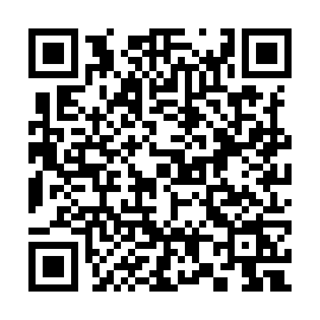 QR code for 381Y