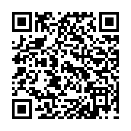 QR code for 381YP
