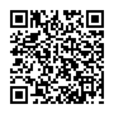 QR code for 381YR