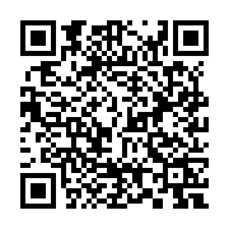 QR code for 381Z