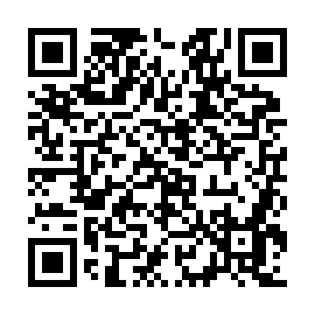 QR code for 381ZO