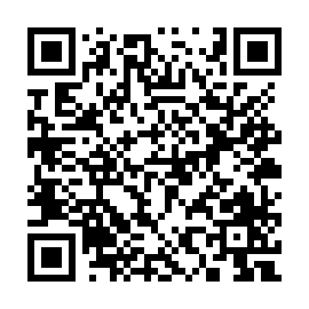 QR code for 381ZX