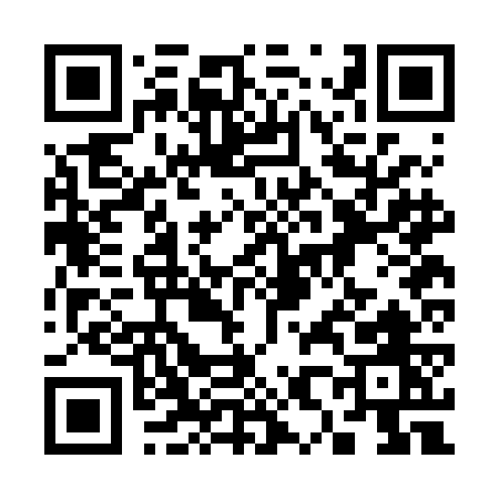 QR code for 382BG