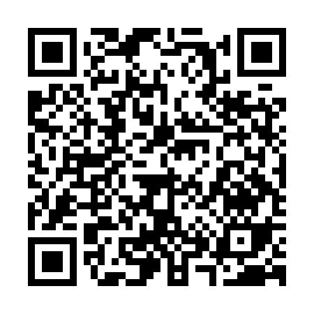 QR code for 382HS