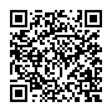 QR code for 382LI