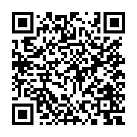 QR code for 382LU