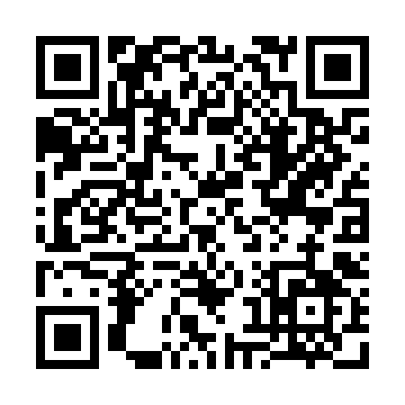 QR code for 382NK