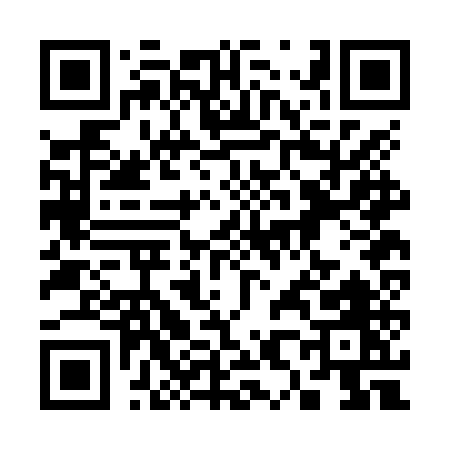 QR code for 382NU