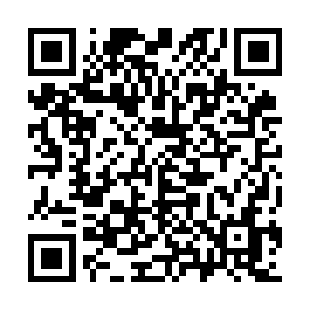 QR code for 382OCN