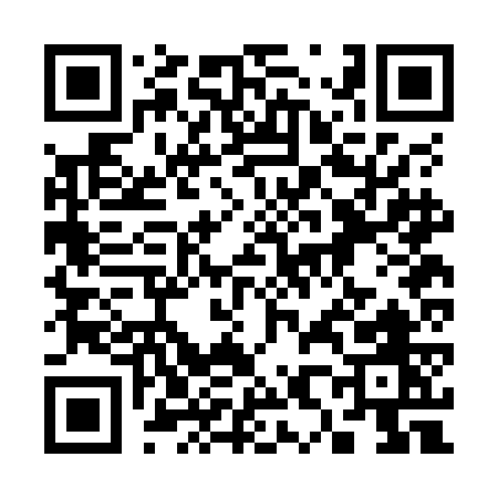 QR code for 382OG