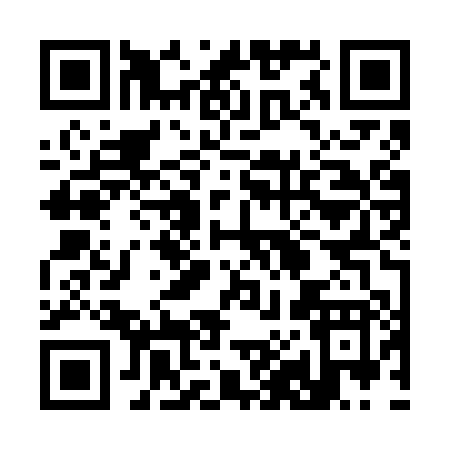 QR code for 382VP