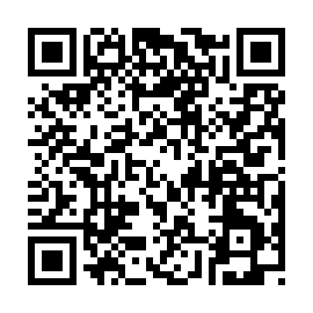 QR code for 382YU
