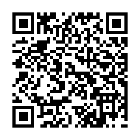 QR code for 383CI