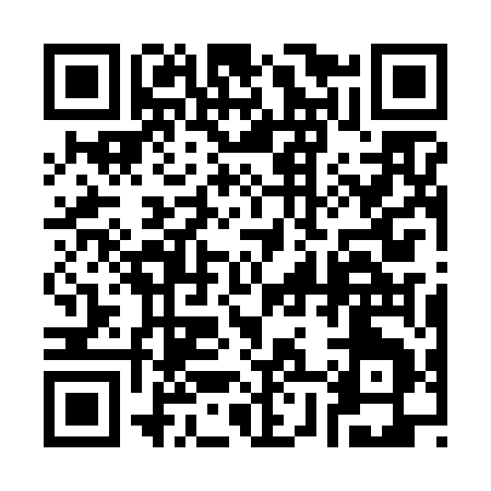 QR code for 383FE