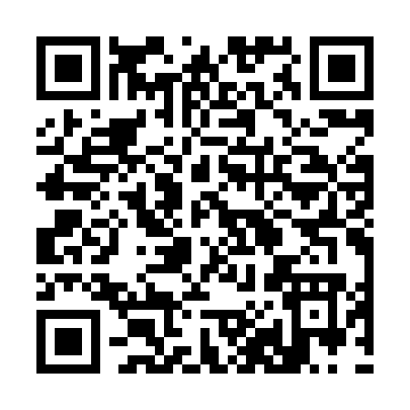 QR code for 383HO