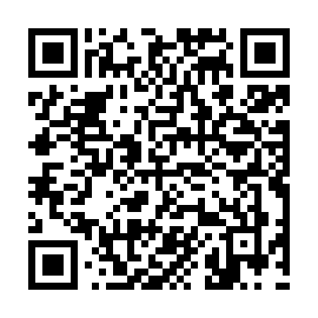 QR code for 383K