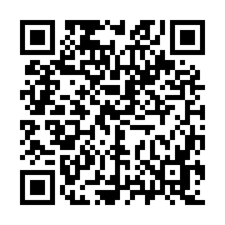 QR code for 383M