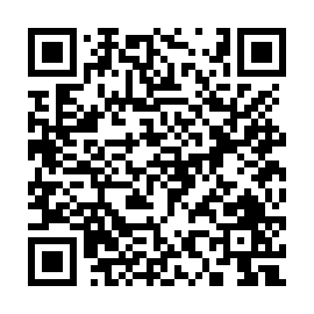 QR code for 383NV