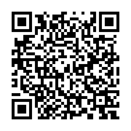 QR code for 383O