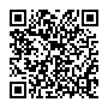QR code for 383PUN