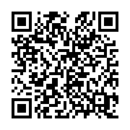 QR code for 383PZD