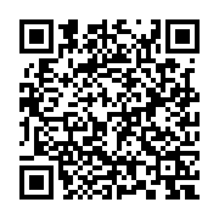 QR code for 383Q