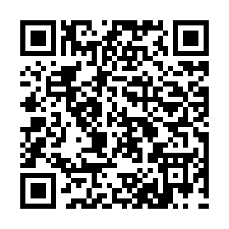QR code for 383YU