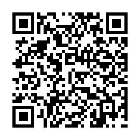 QR code for 384BUB