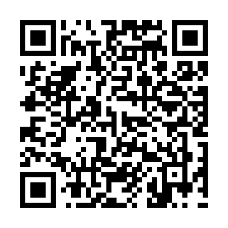 QR code for 384C