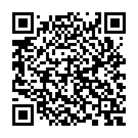 QR code for 384CQS