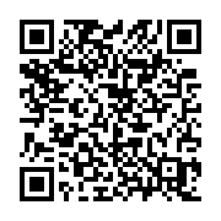 QR code for 384GPC
