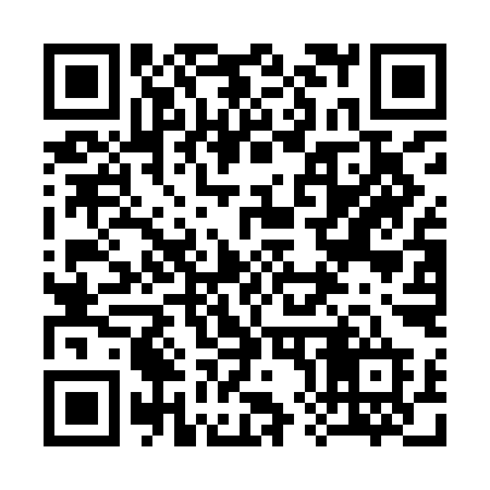 QR code for 384IID