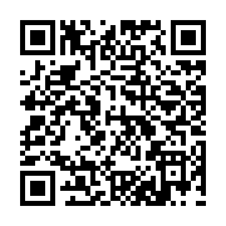 QR code for 384IT