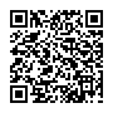 QR code for 384IZ