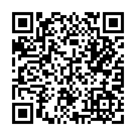 QR code for 384LI