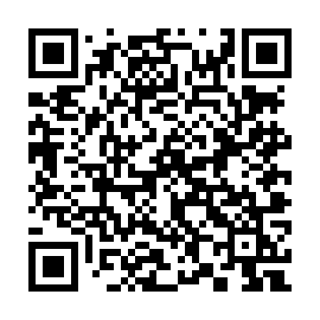 QR code for 384LOK