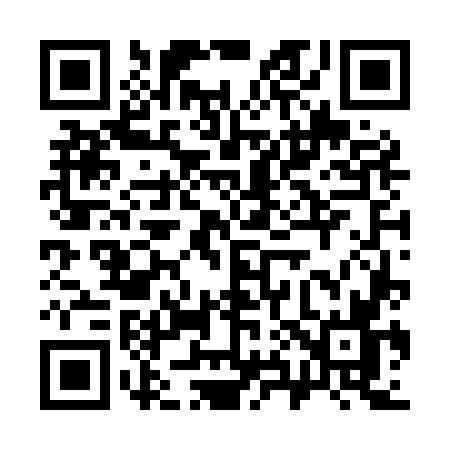QR code for 384M