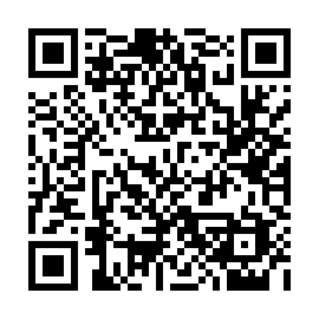 QR code for 384MYC