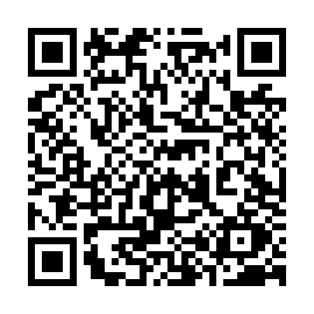 QR code for 384N
