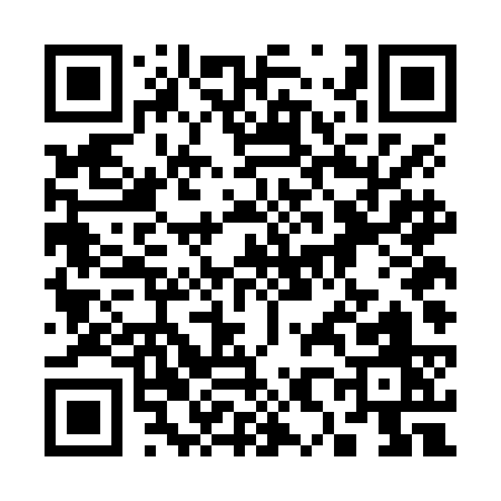QR code for 384NC