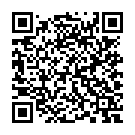 QR code for 384NJS