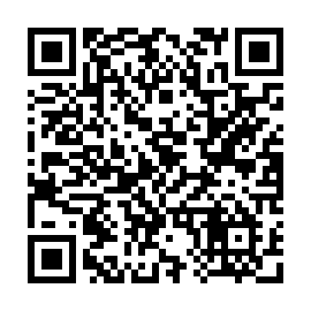 QR code for 384NPM