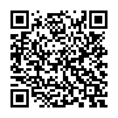 QR code for 384NPS