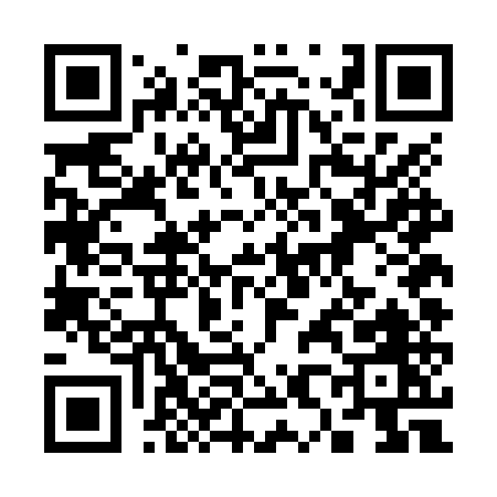 QR code for 384NU