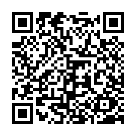 QR code for 384P
