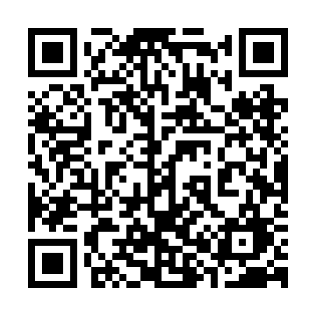 QR code for 384RCG