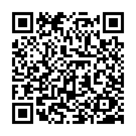 QR code for 384S